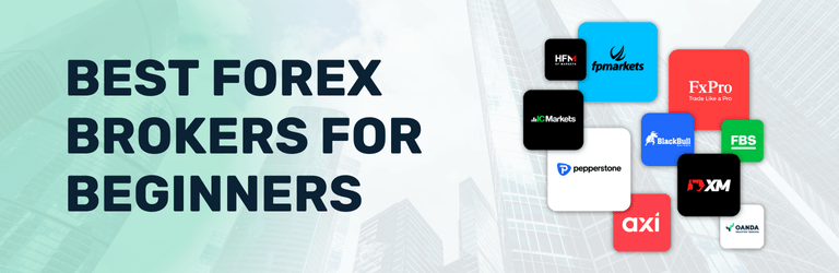 Best Forex Brokers for Beginners